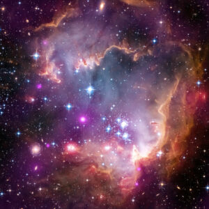 The universe was created forus