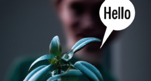 Plants are conscious